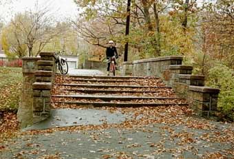 Olmsted steps